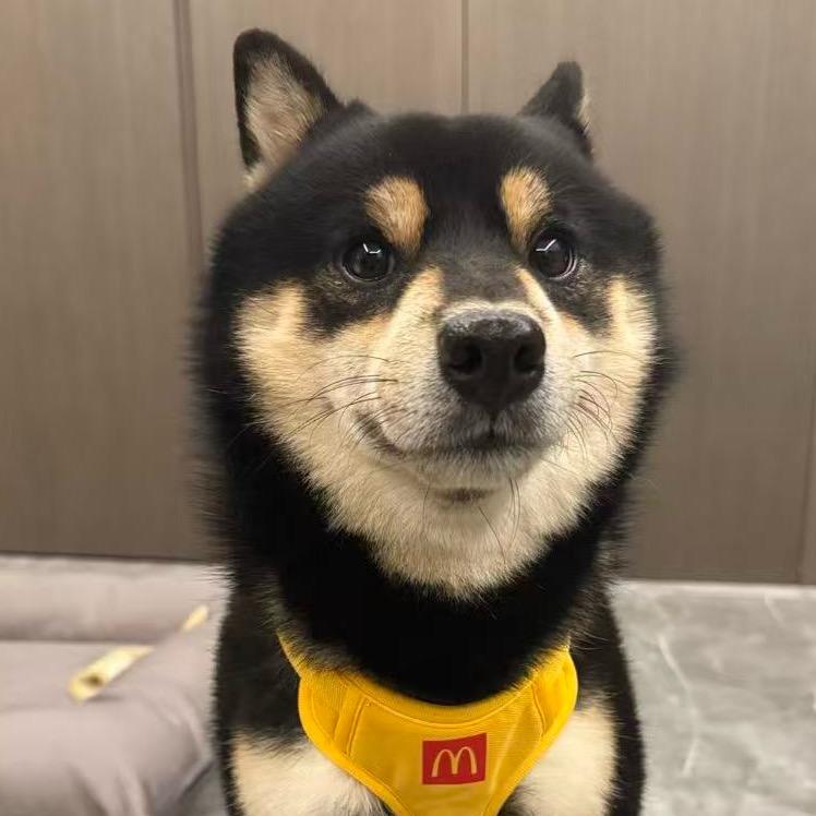 wan