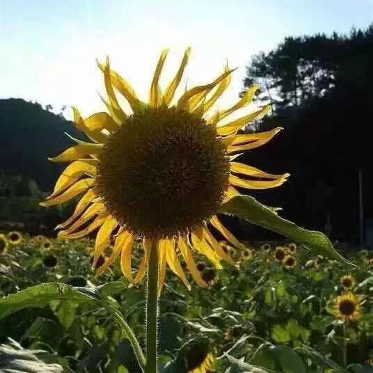 十指紧扣