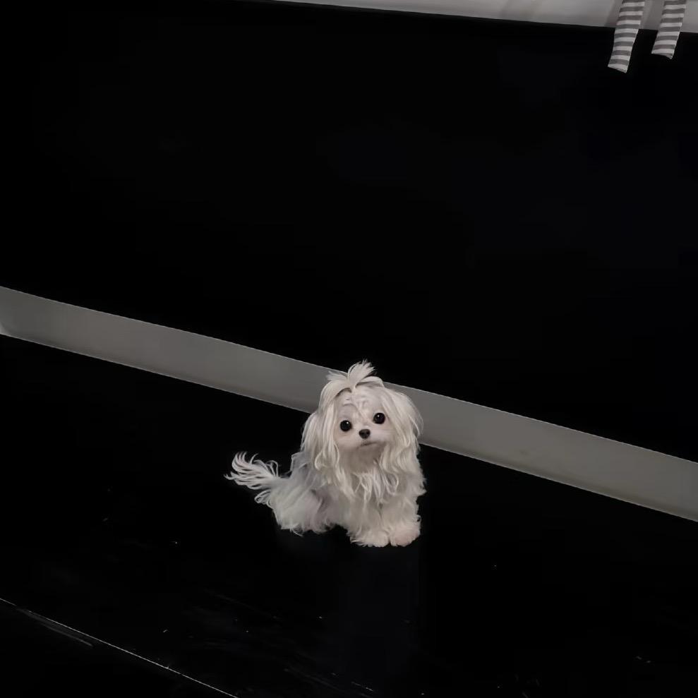 小妤贝贝
