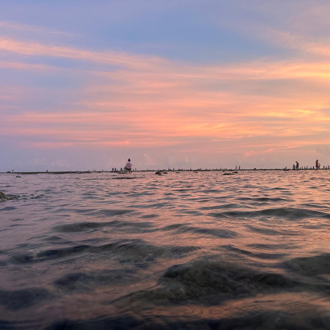 诚铭（李雪花故事大王切片）