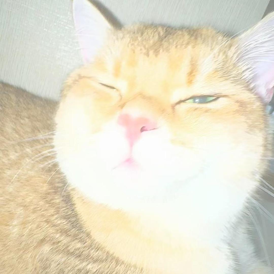 白振鹤