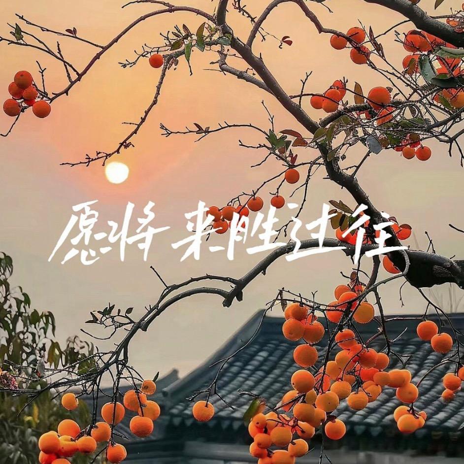 北巷酒自清