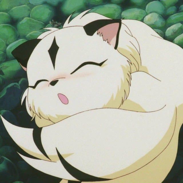 极度视觉～喵森