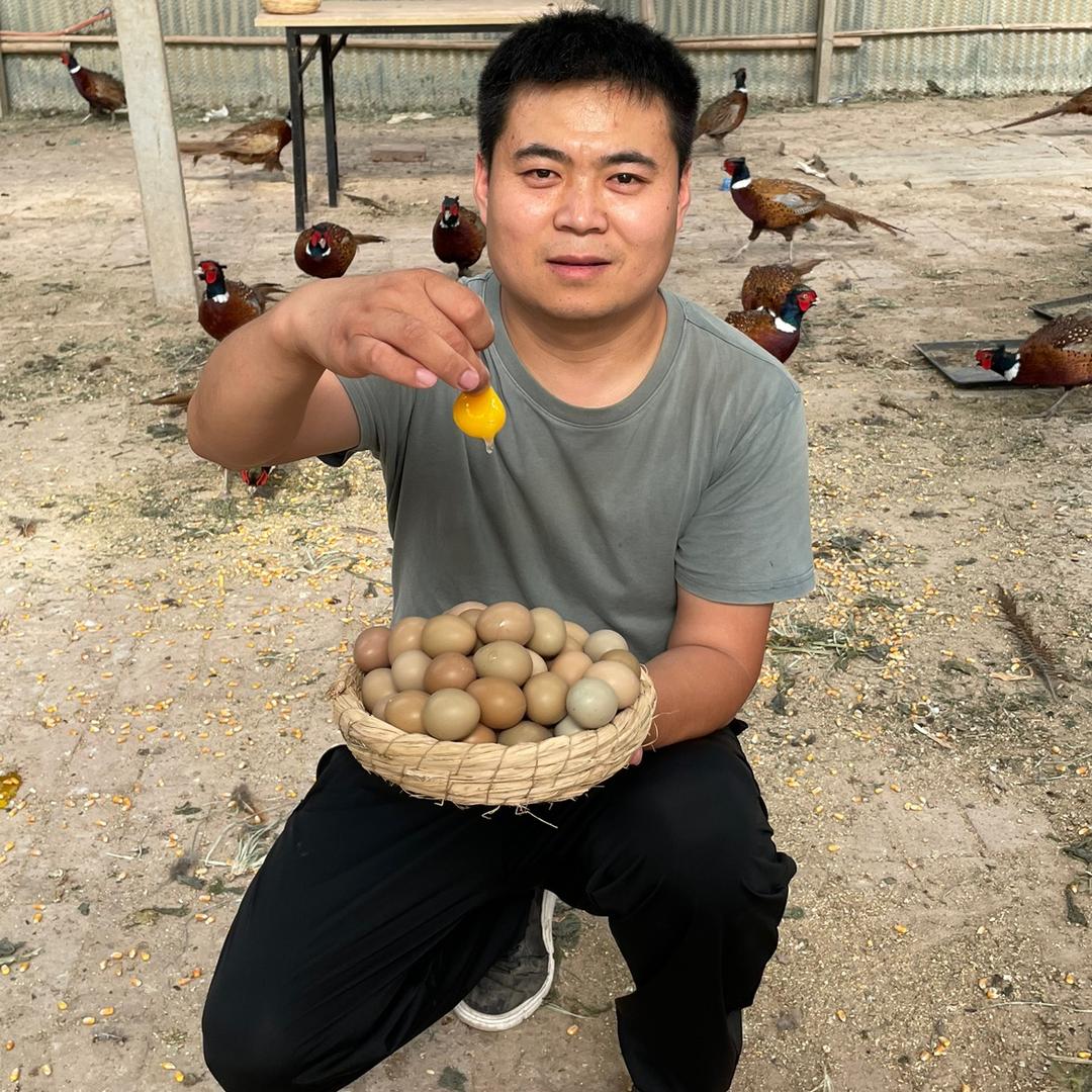 山鸡新农人