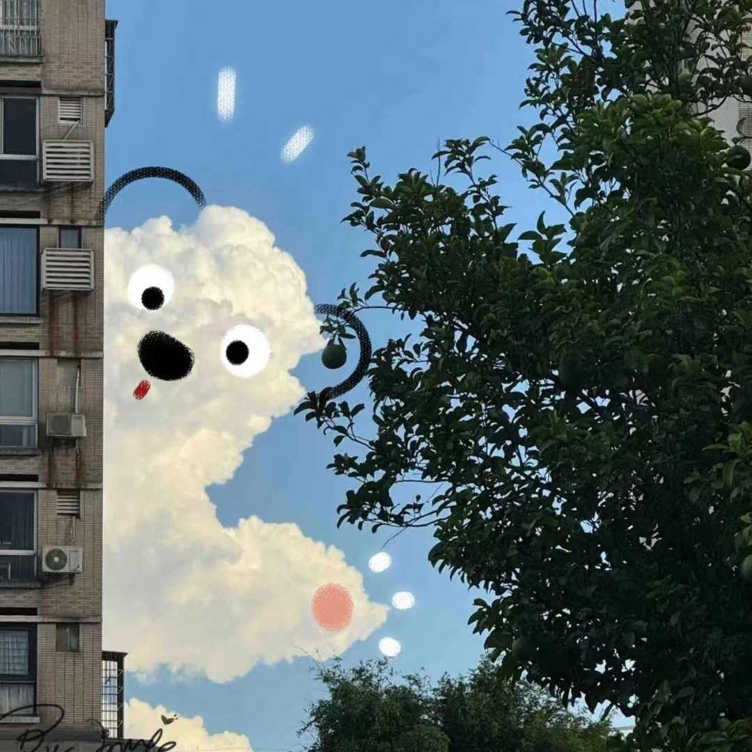 丢咔🐑