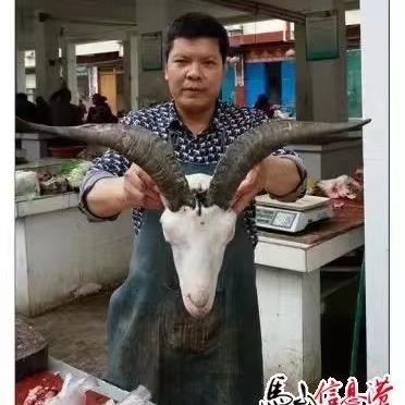 马山小黄农产品
