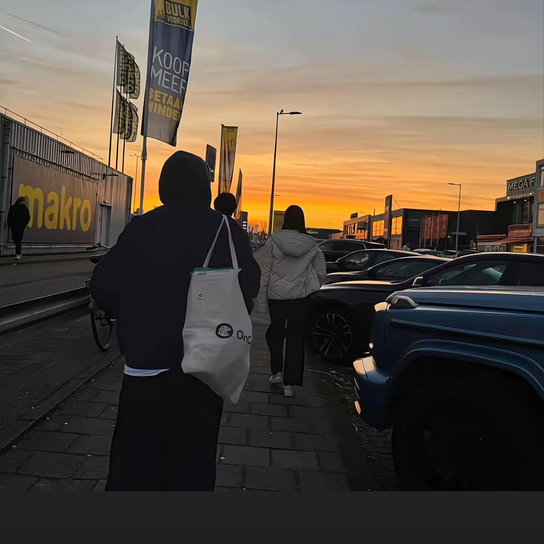 你是不是蚊子脑