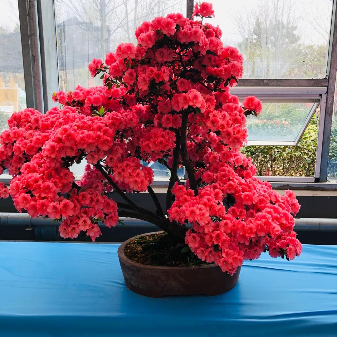 李员外