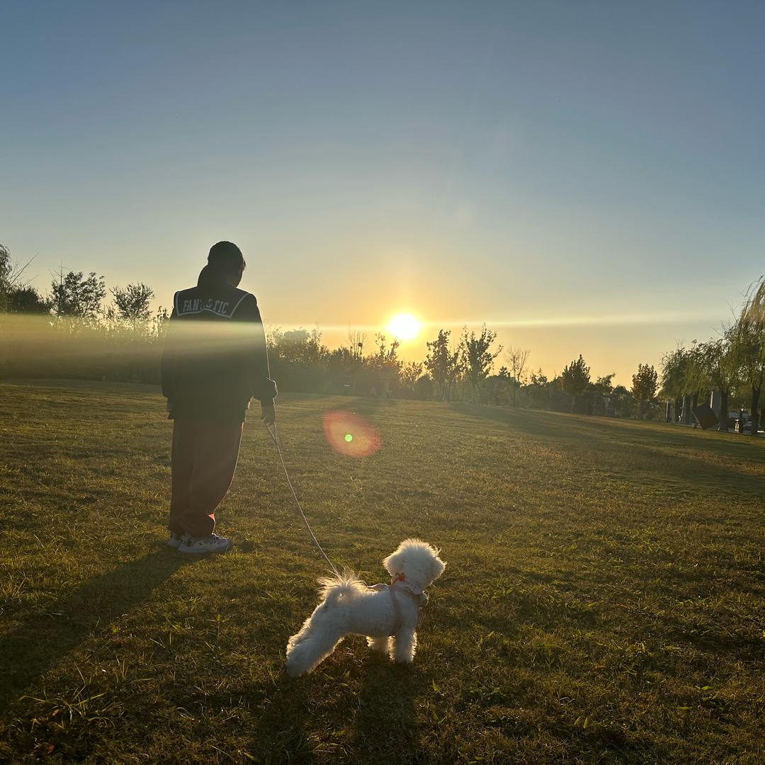 莎莎莎莎莎同学。