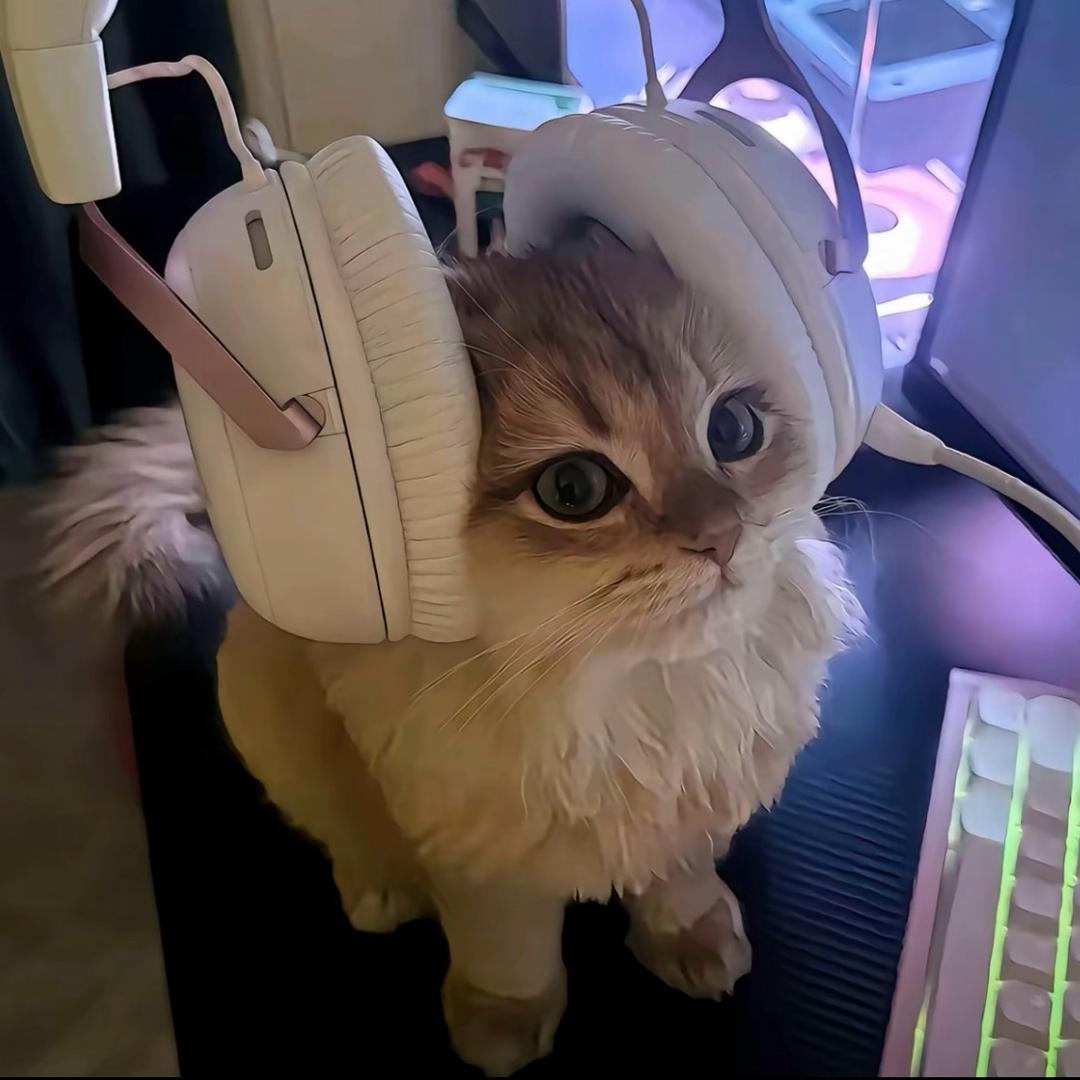 倾诉