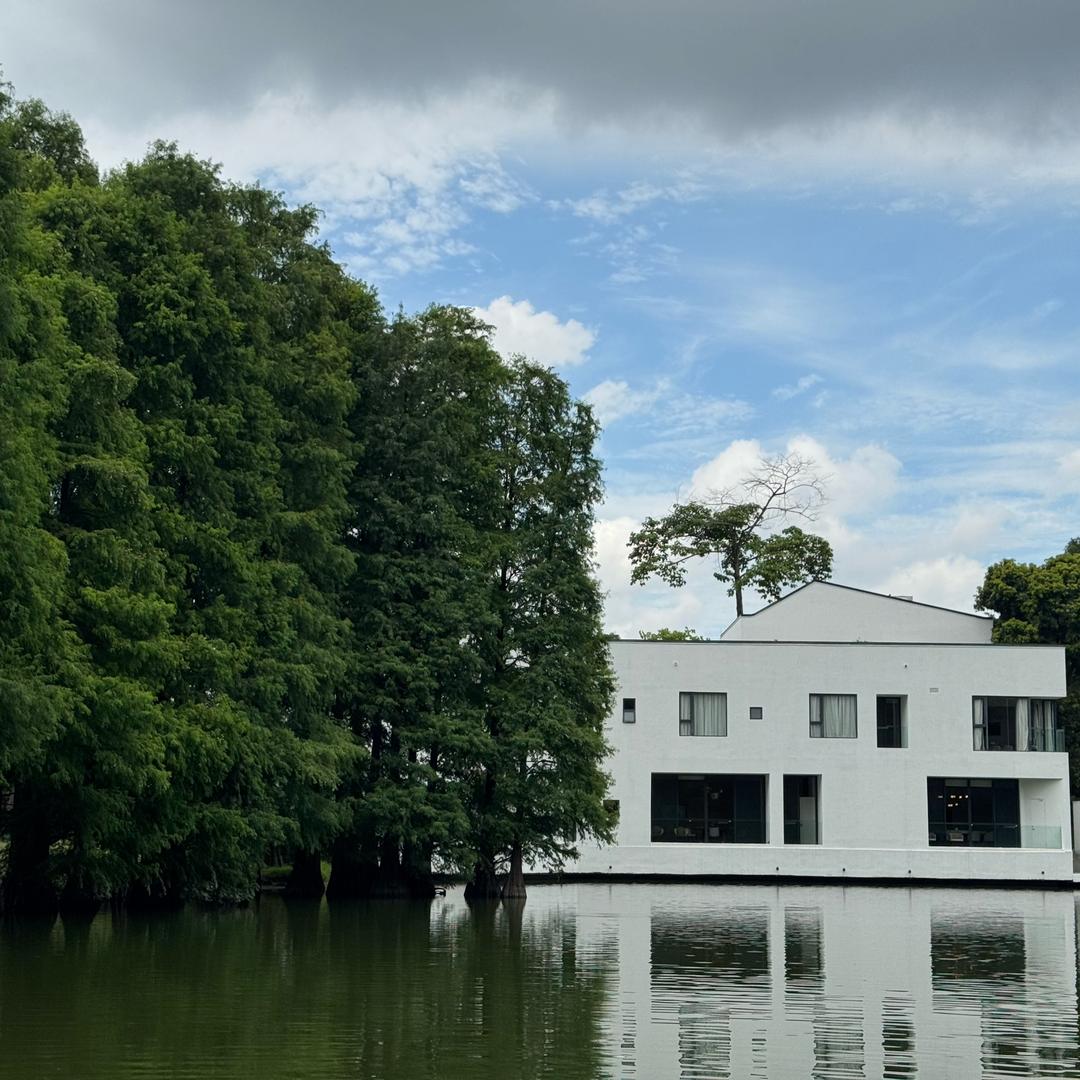 爱吃三丝莴笋的小格子