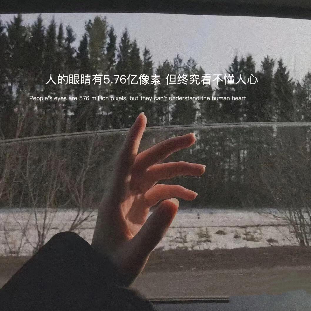 今晚不熬夜🌙