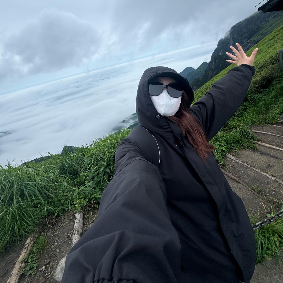 顾辰