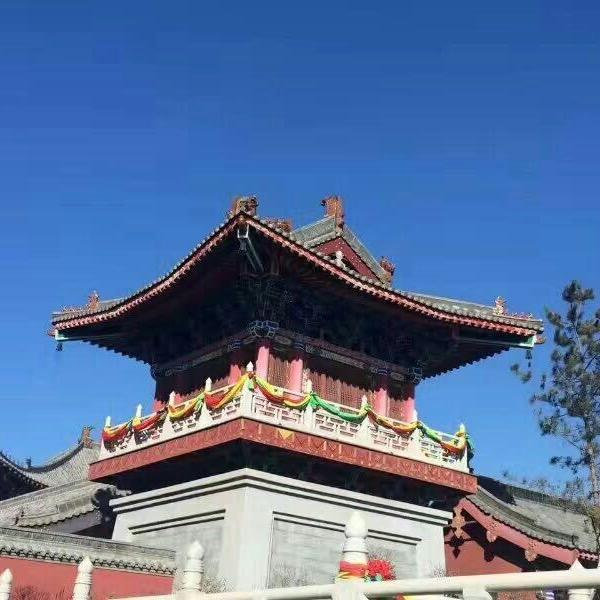 清悟