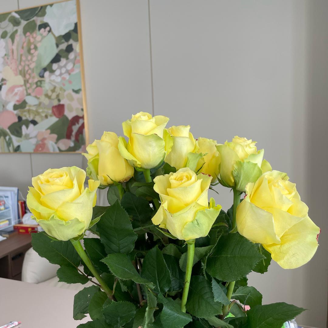 Rose Chen