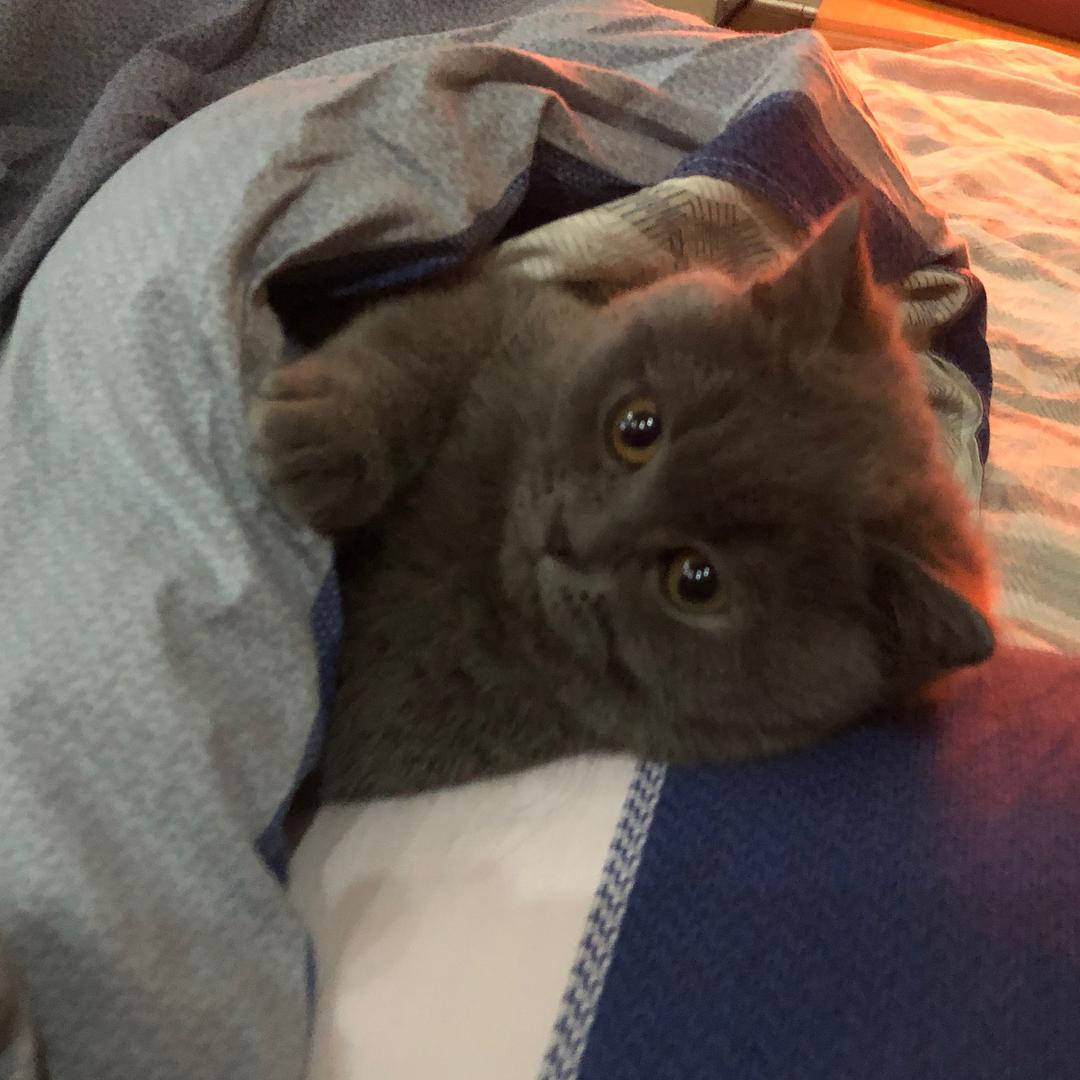 绵绵˶‾᷄ ⁻̫ ‾᷅˵