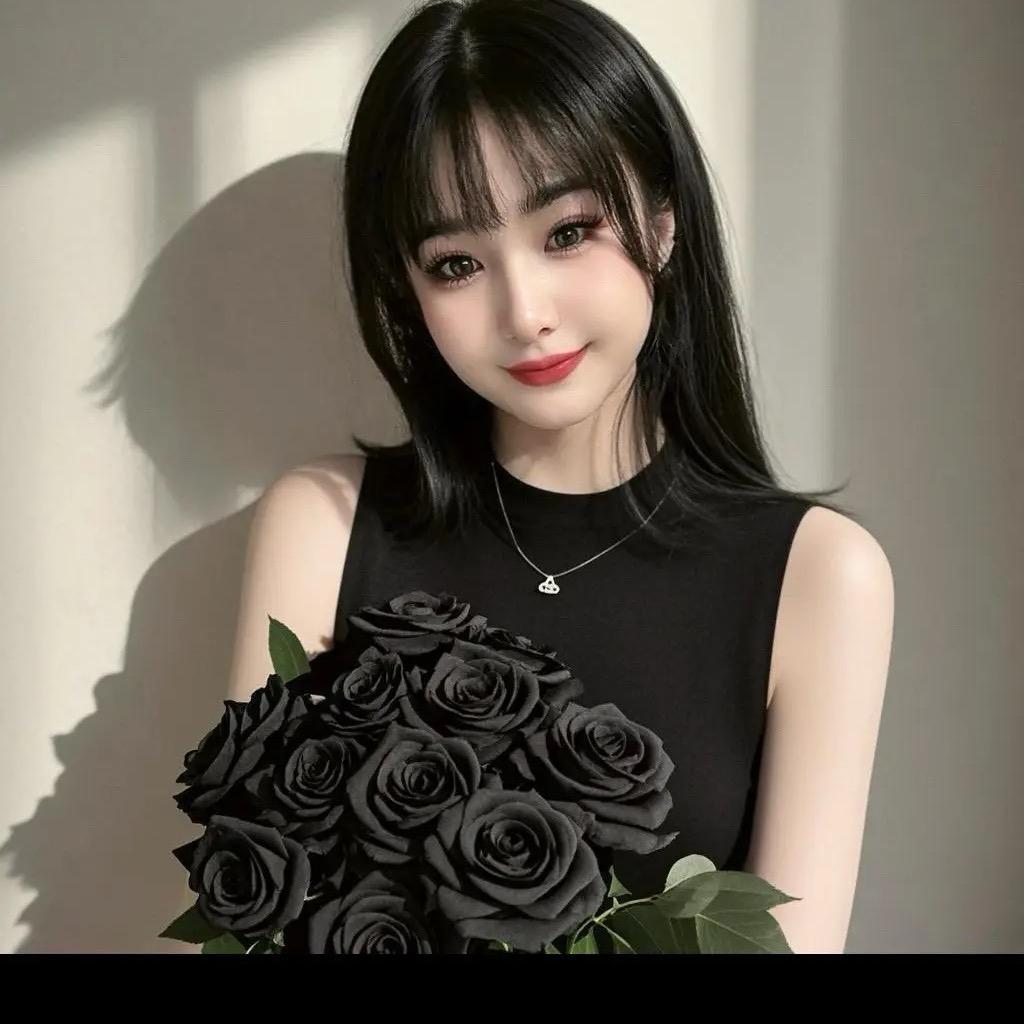 R520❤527