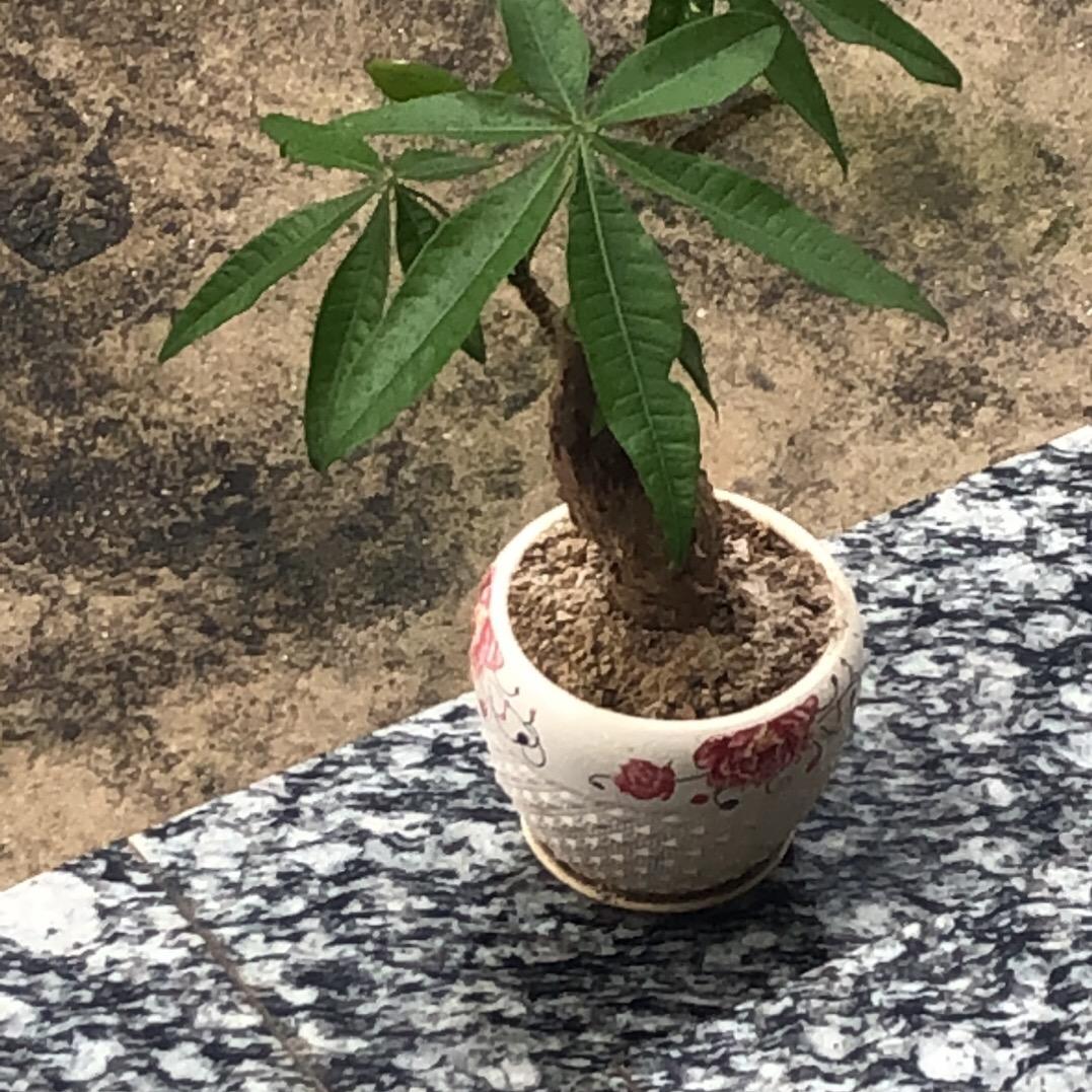 小孩子