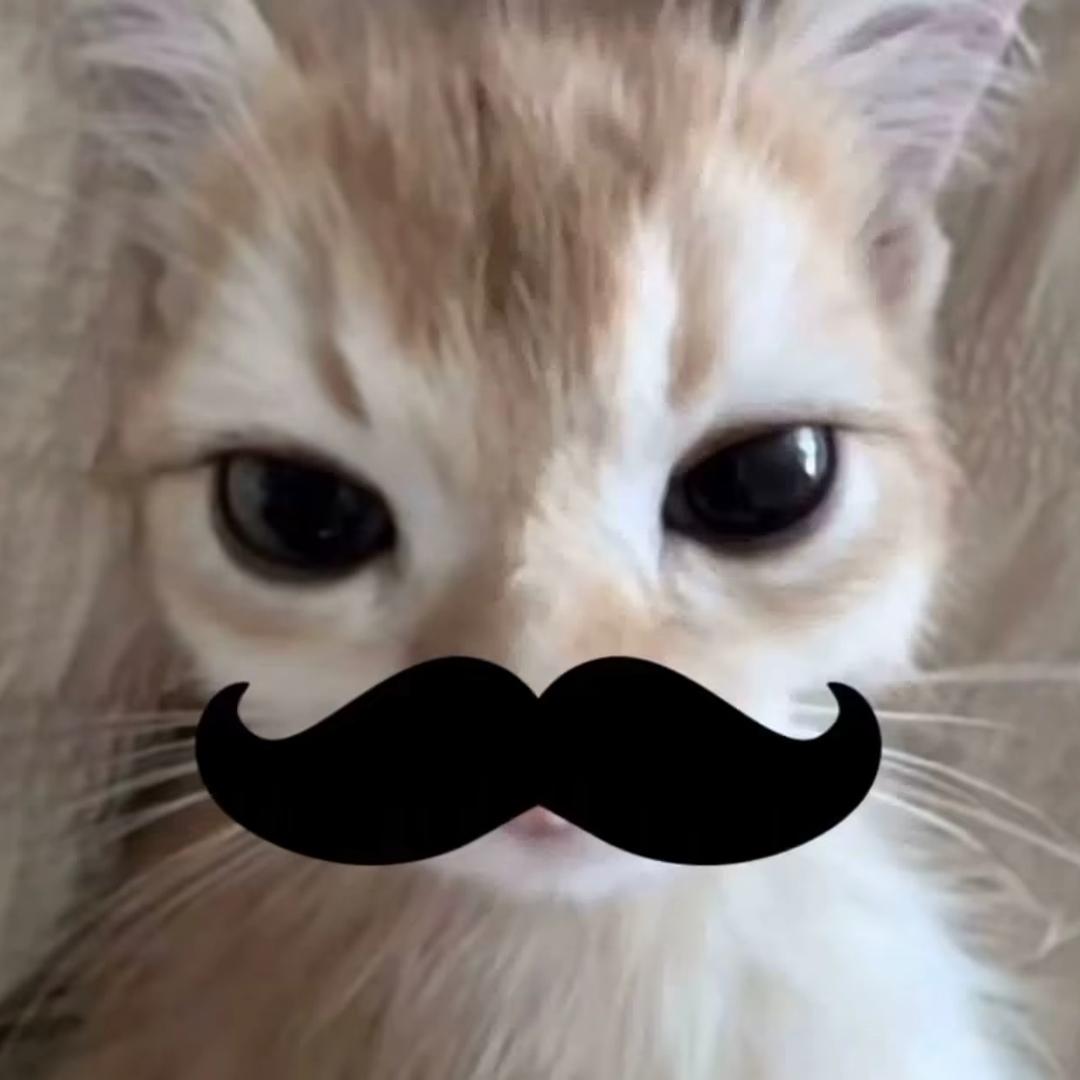 CaTwTu