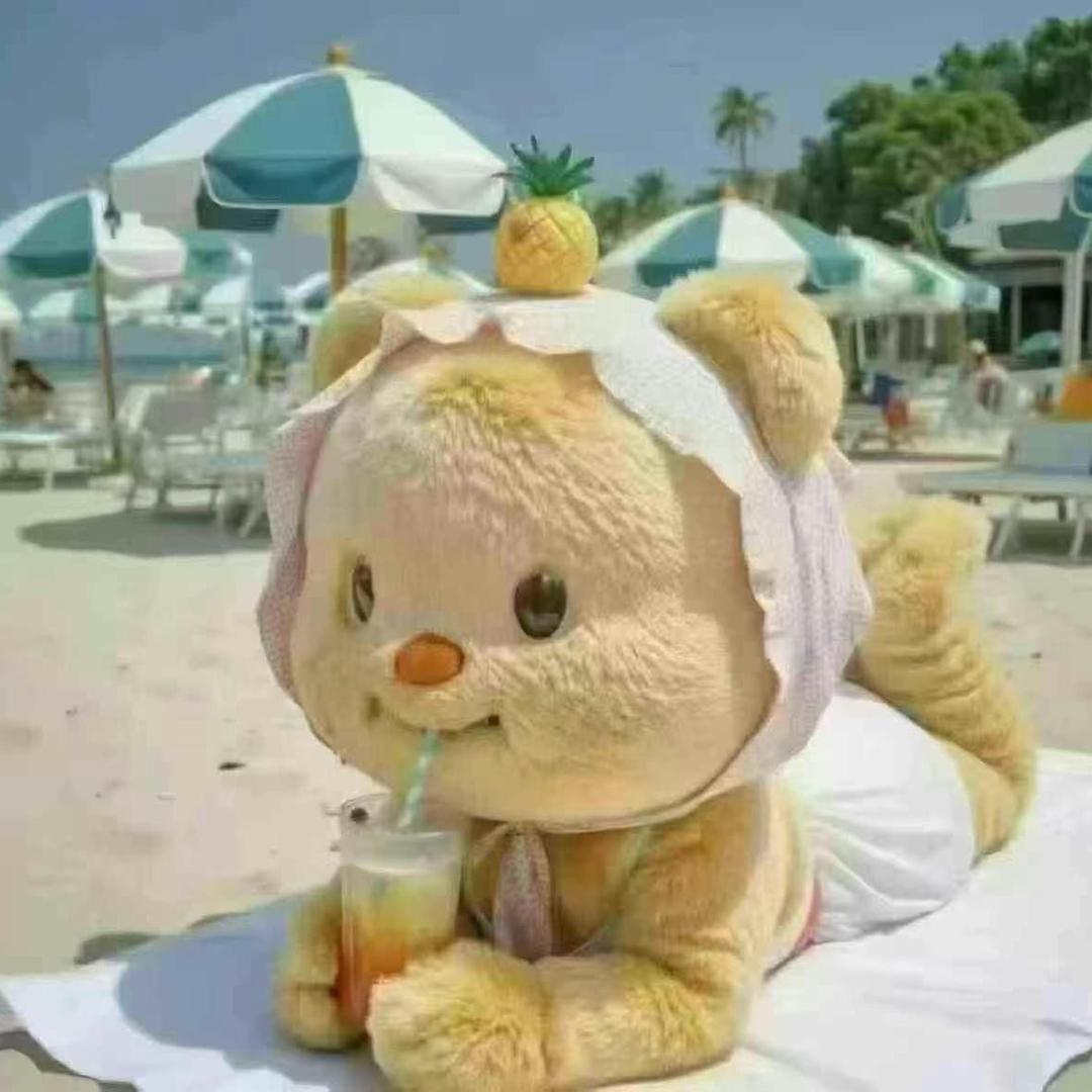 轻轻的羽毛🪶