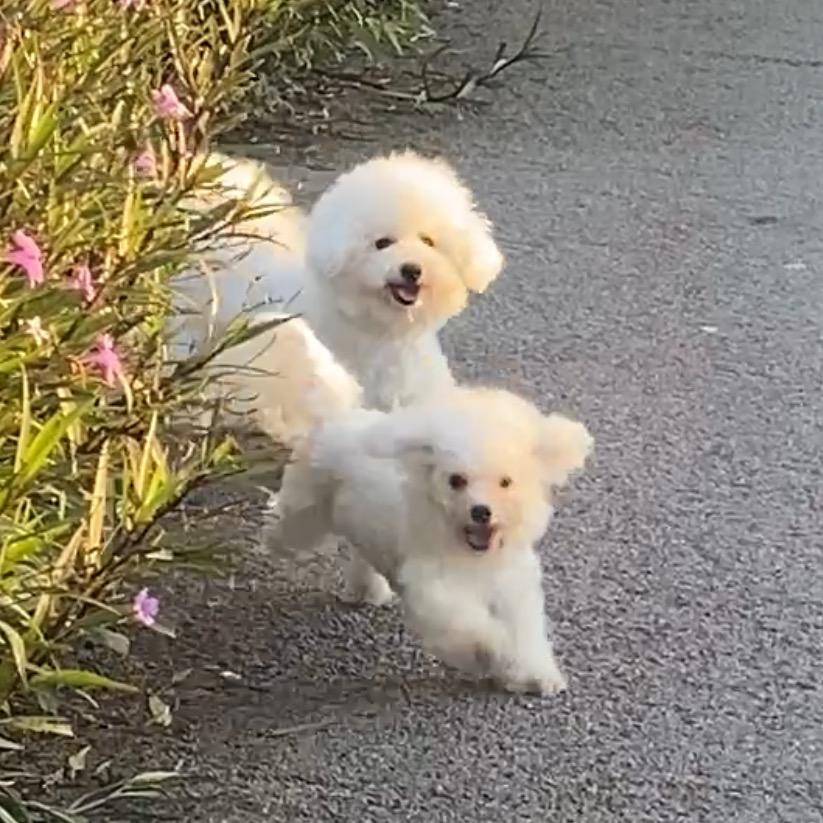 嘟比是妹妹