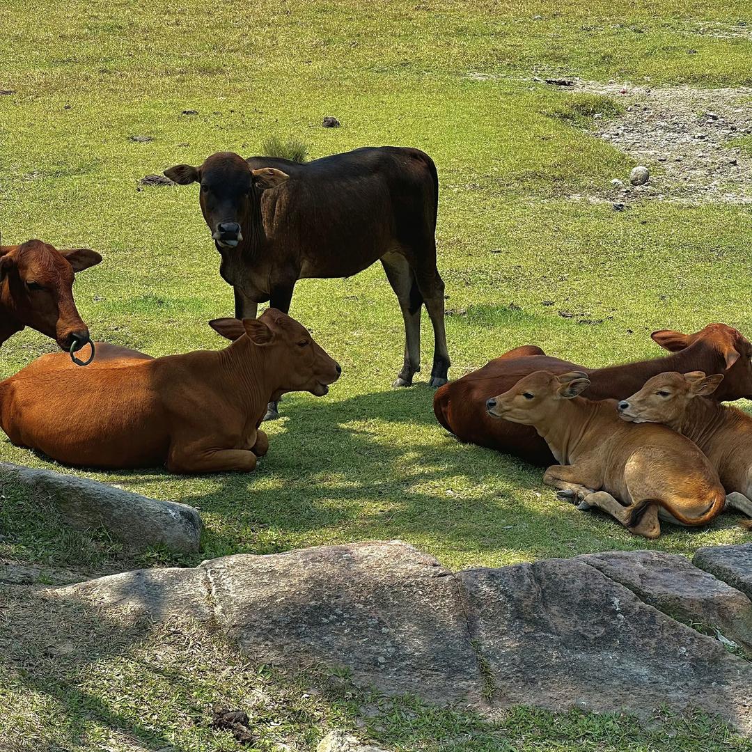 双河臻选农产品超市