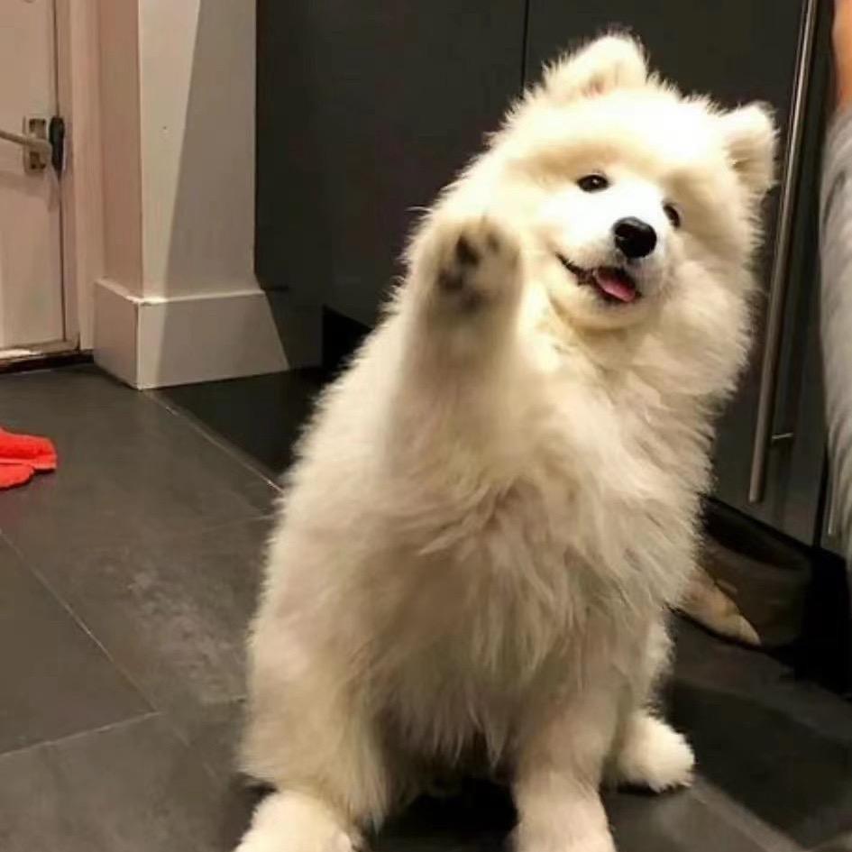 少点烦恼