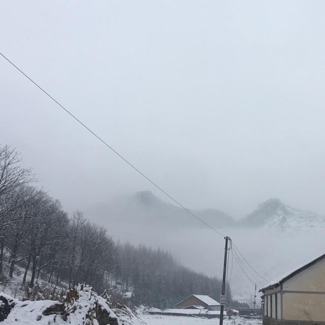 东北第一黑1