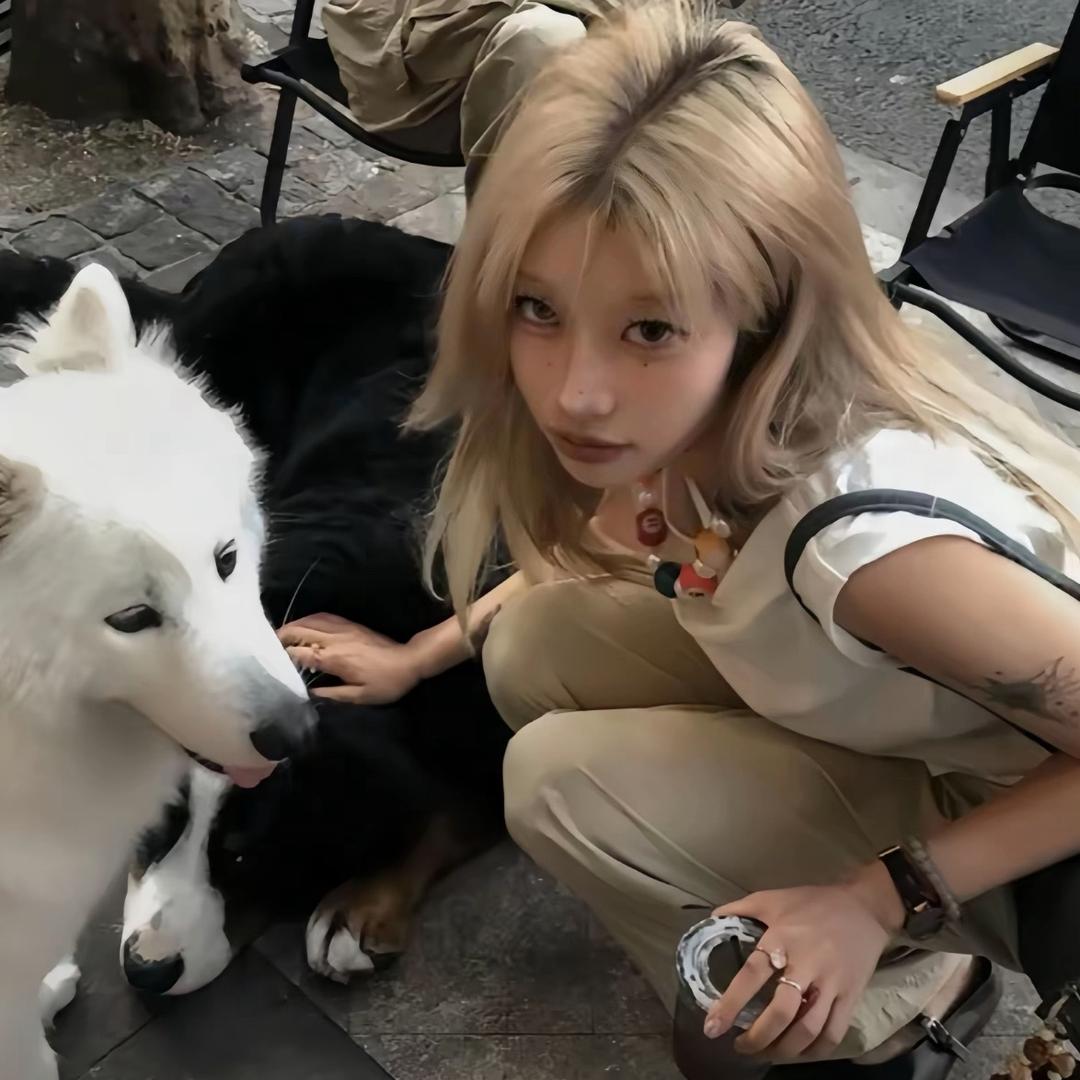 你在白日做梦