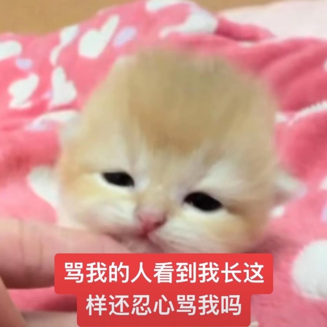 科一顺手的事🤏