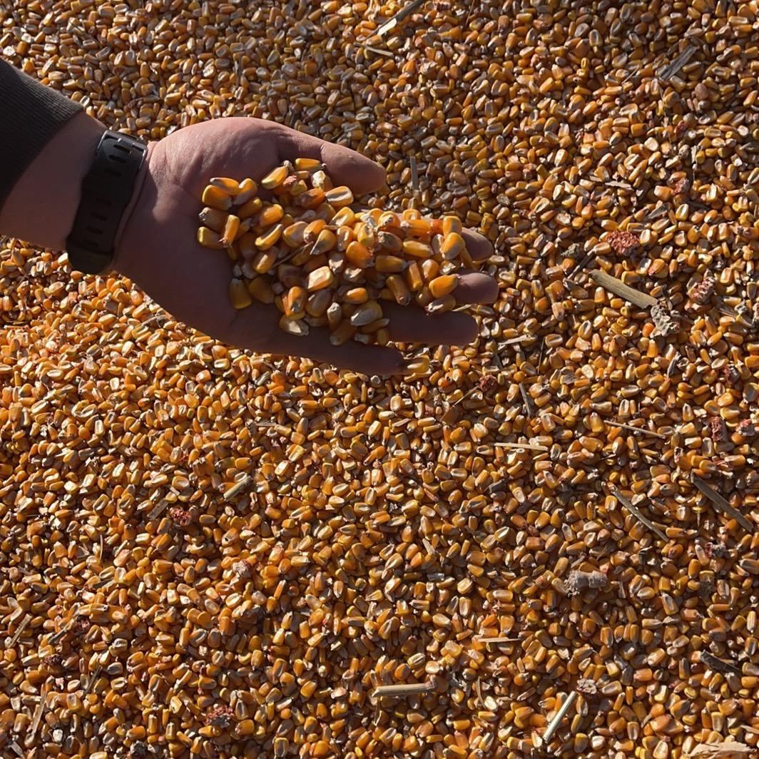 许昌至永粮贸有限公司