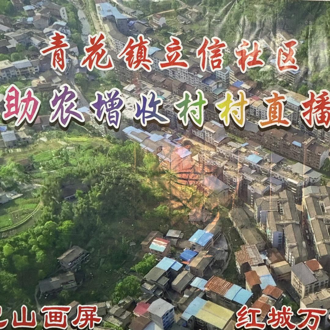 青花镇立信社区助农直播