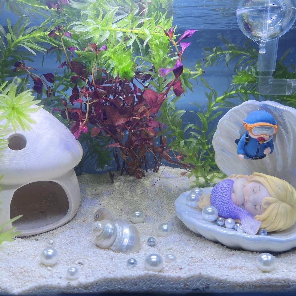 宇玥的&小琉璃