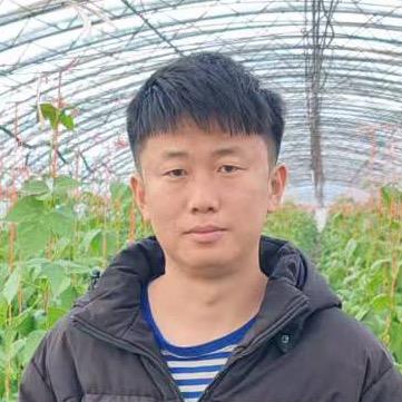 小强在家乡