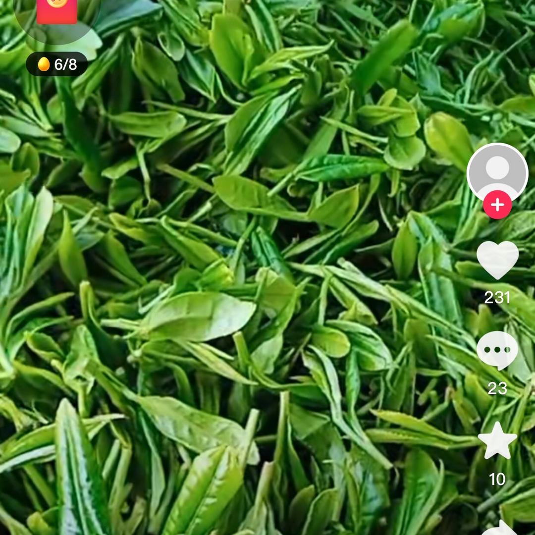 明天太阳
