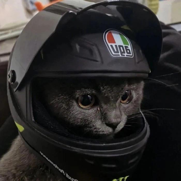 瘾