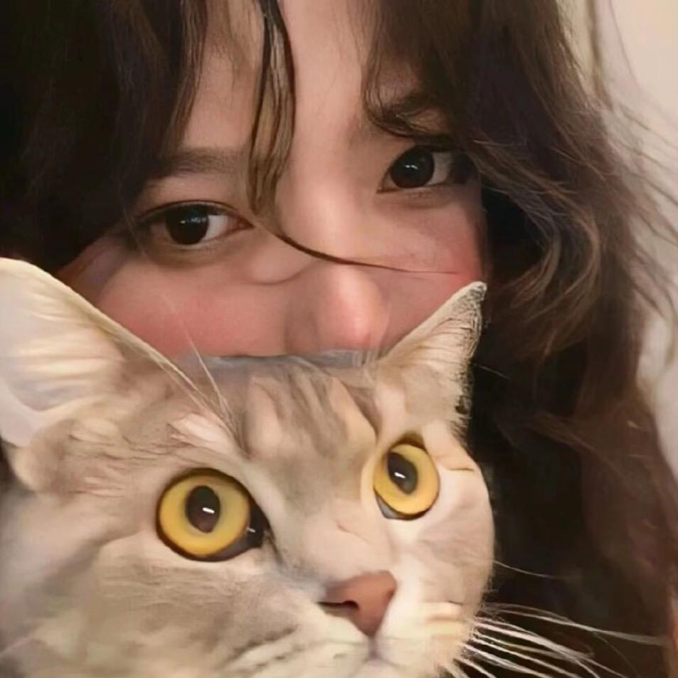 菜菜努力不倒车🏍️