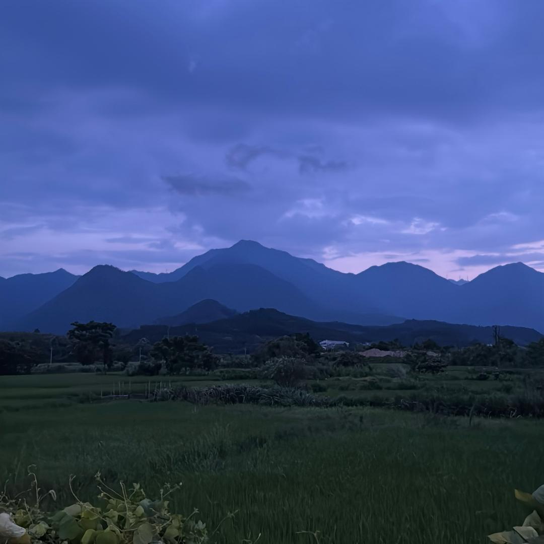 用户1303763792029716