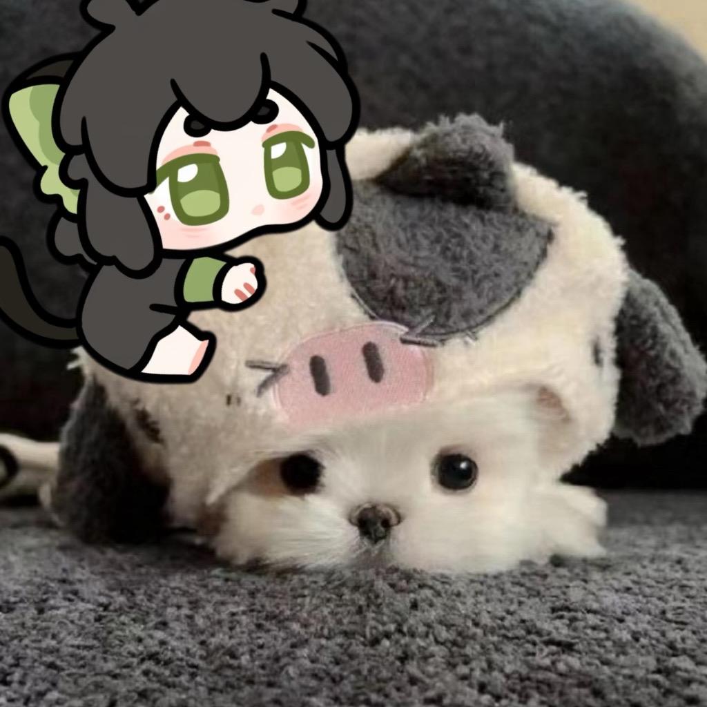 困鱼芝士₍˄·͈༝·͈˄*₎◞ ̑̑