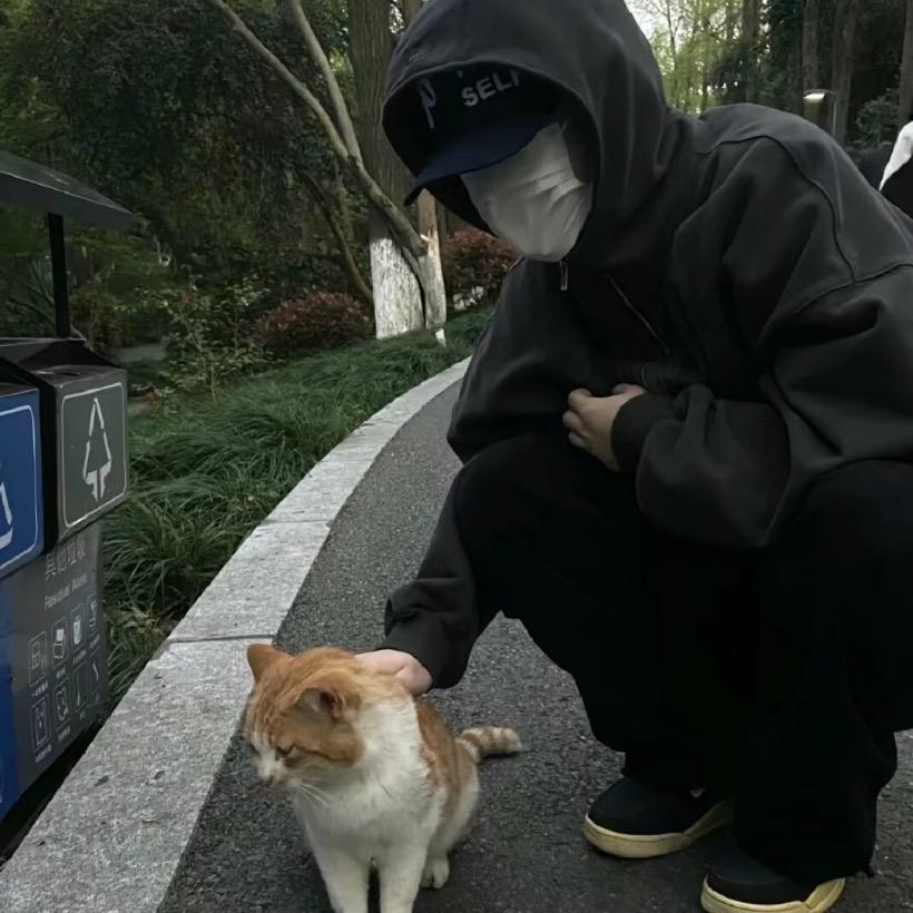 lee李.