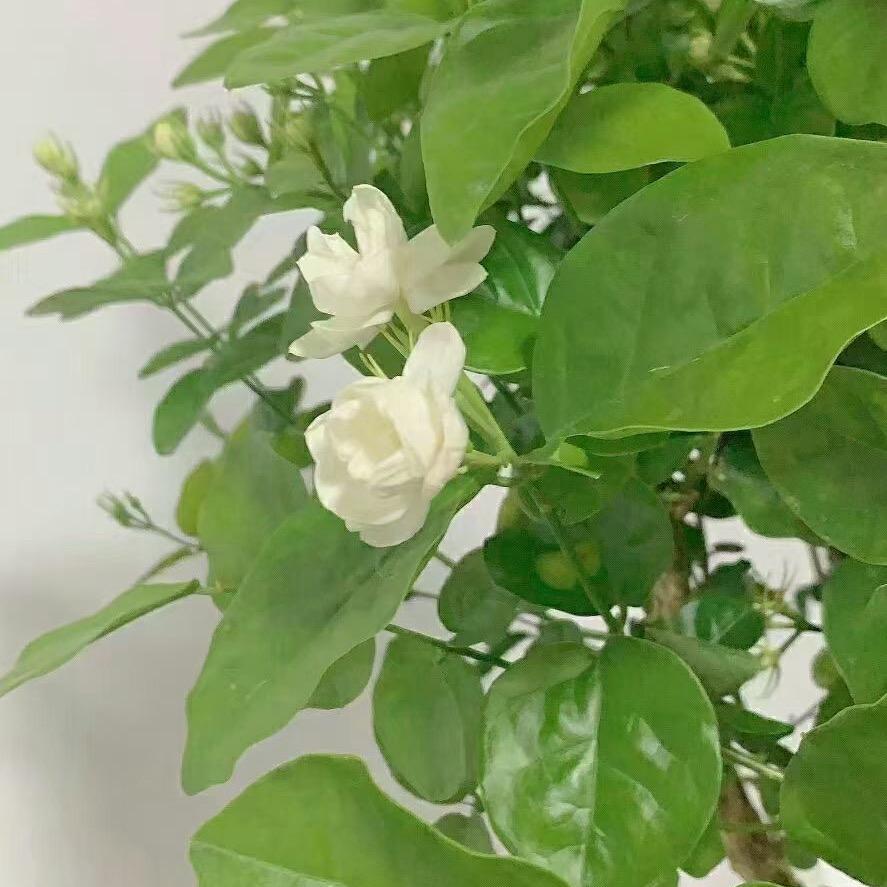 天津远航国际人力资源有限公司