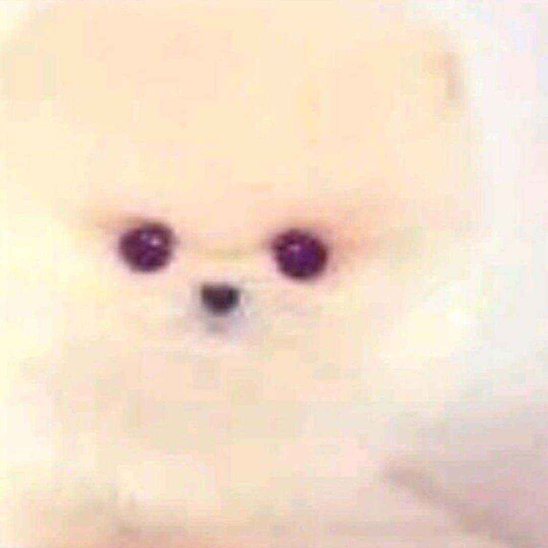 ㅤㅤ☞ ღ 前夫哥ღ ☜