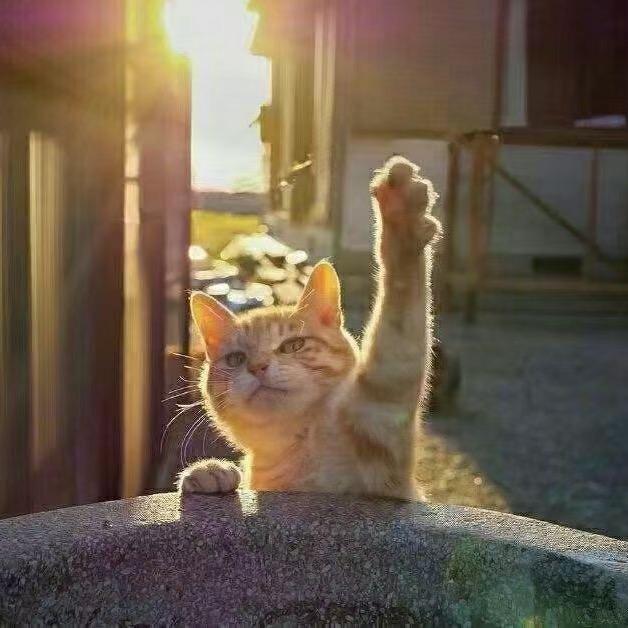 清醒、