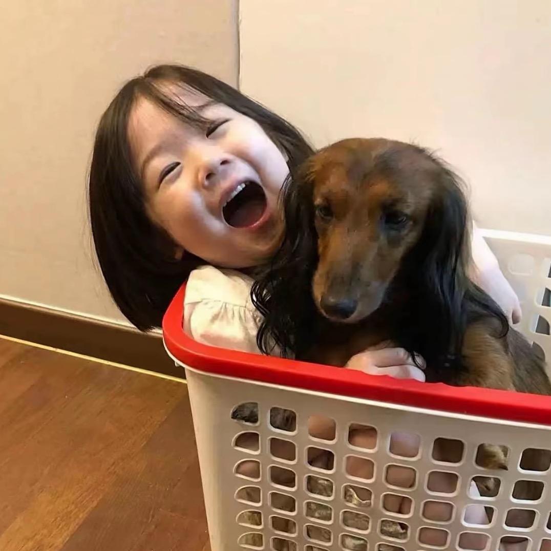 杏李