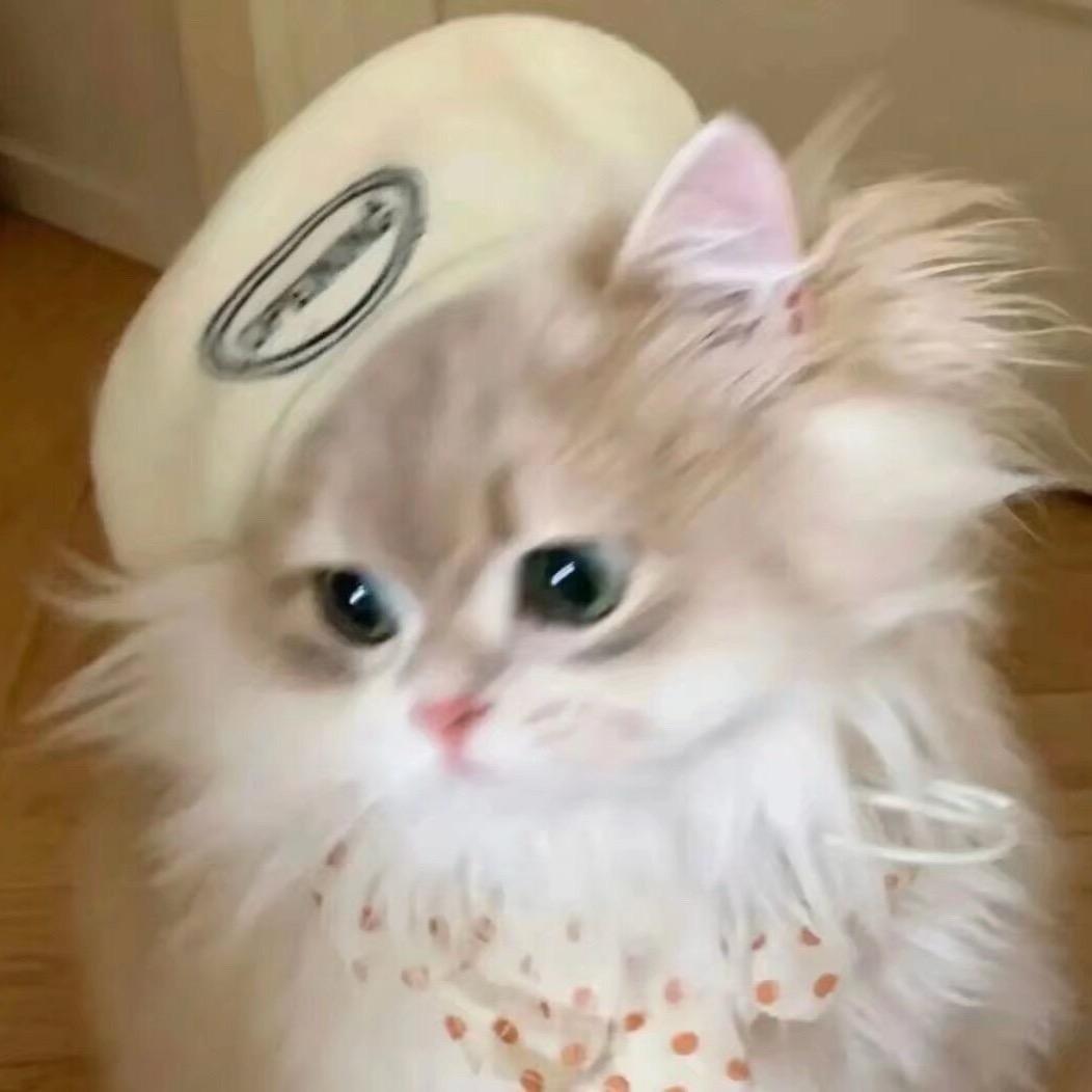 梦想洋娃娃