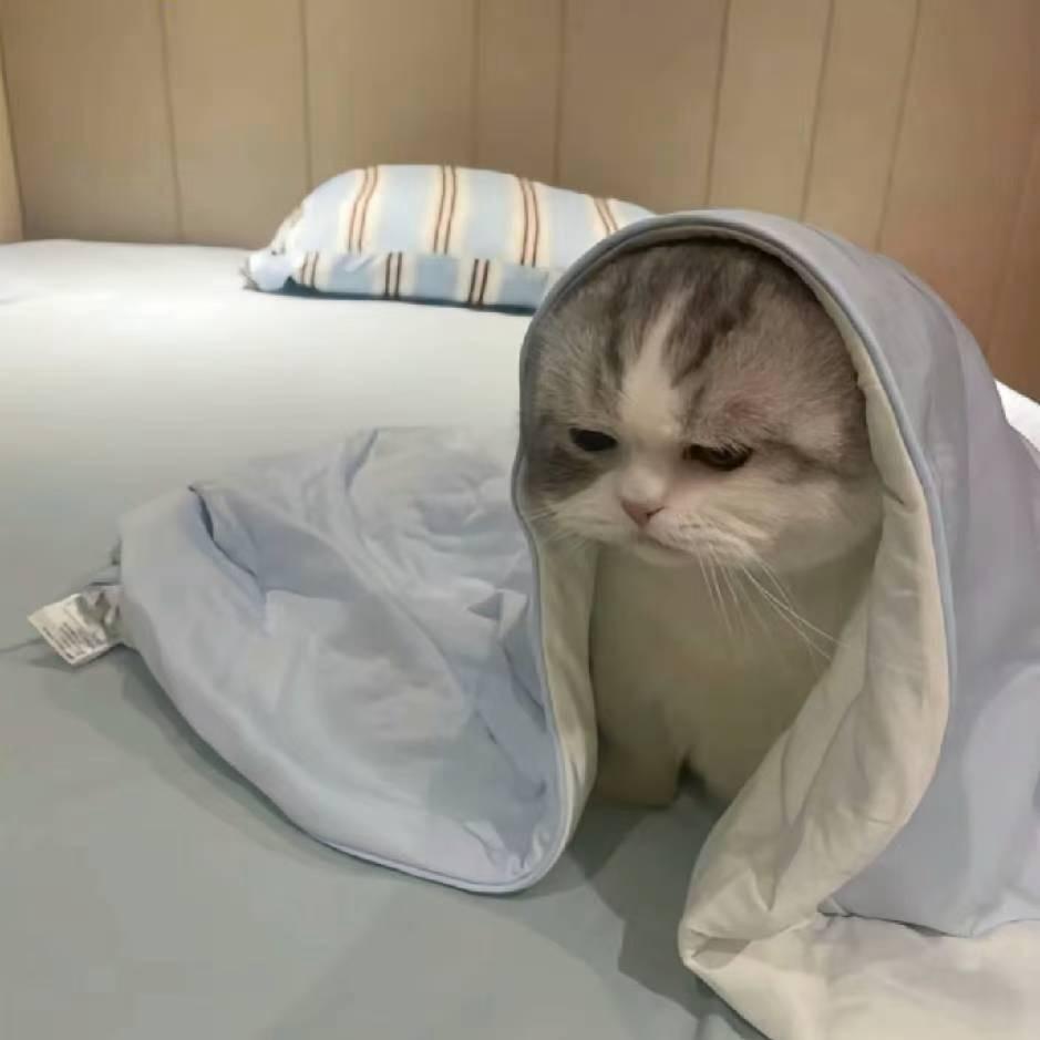 喆耳根