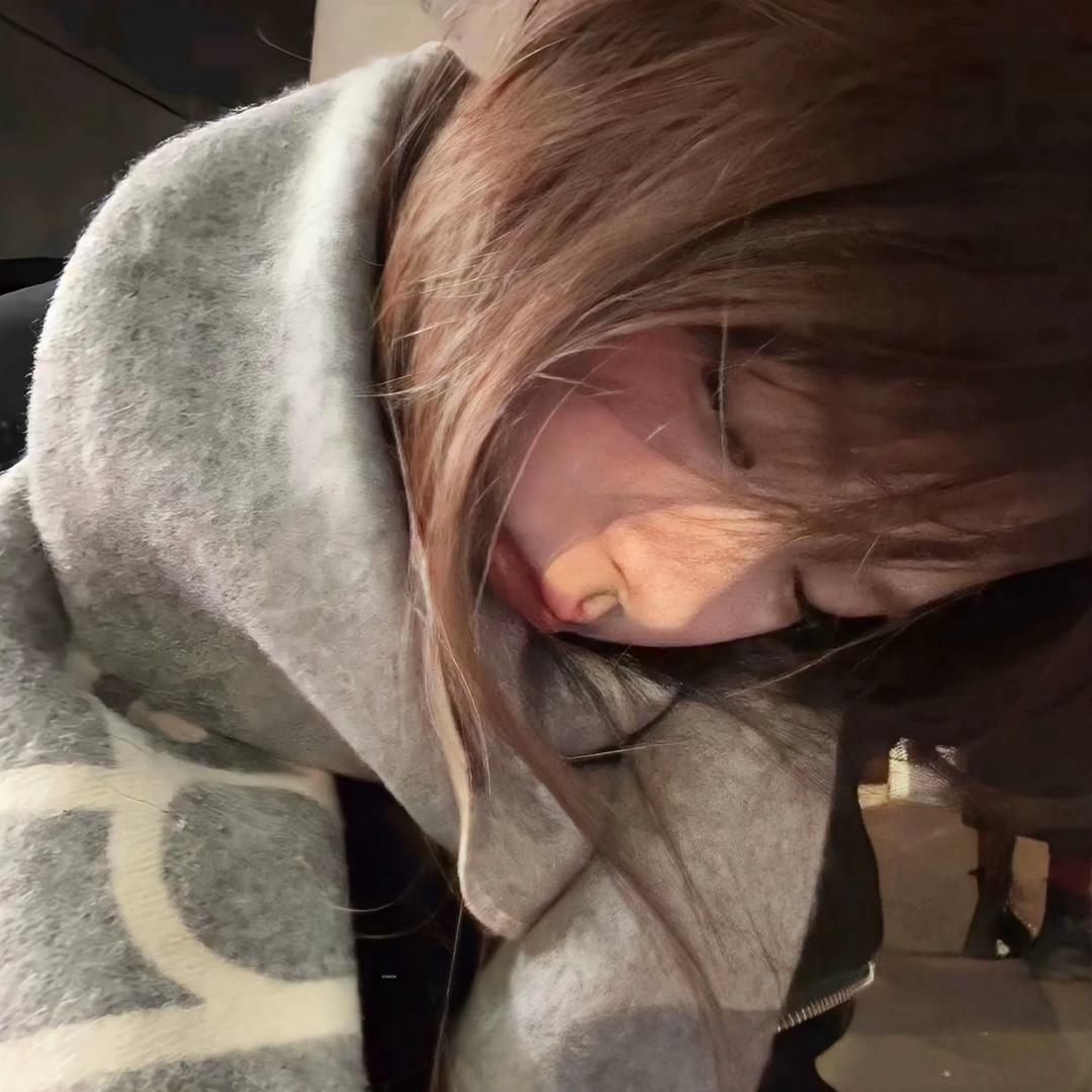 小狗披萨