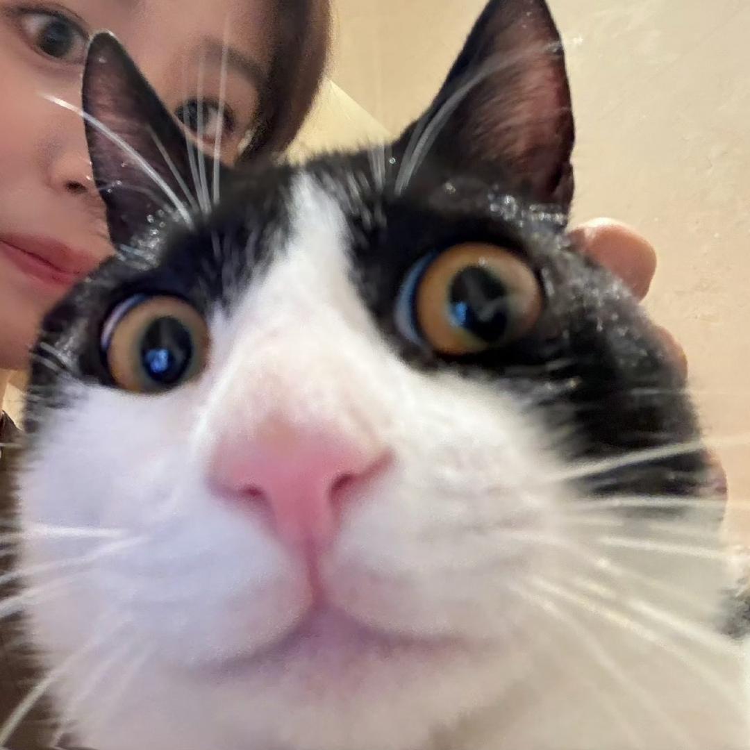 unnioo