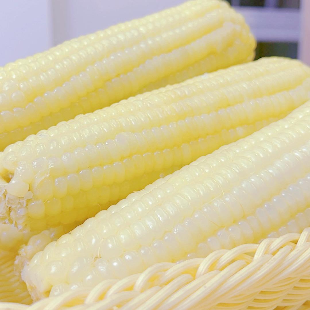 甜间地头【糯玉米专场】