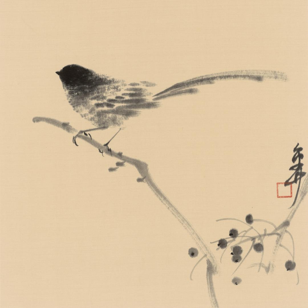胡进曦